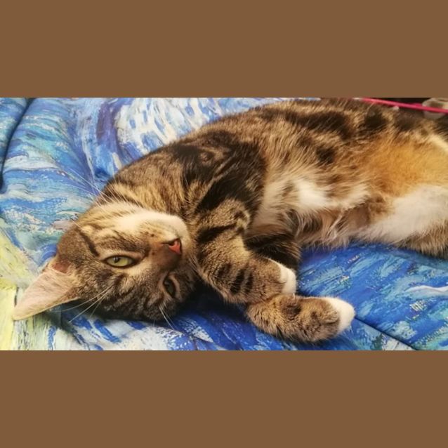 Photo of Darla
