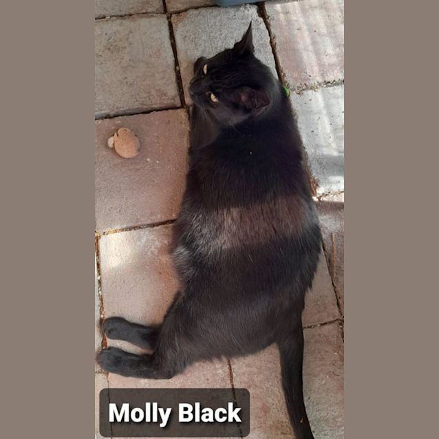 Photo of Molly