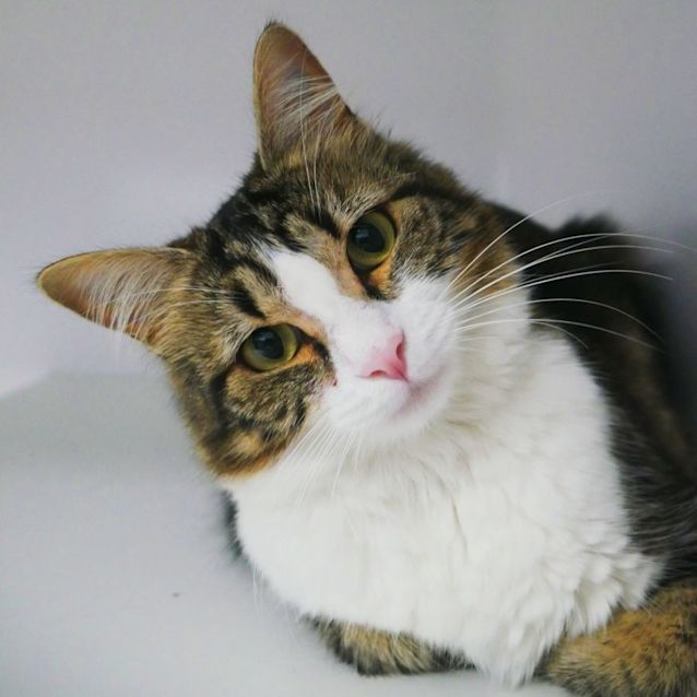 Photo of Bella Rstk006164