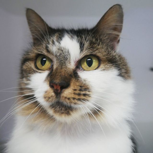 Photo of Shirley Sta009465