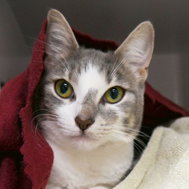 Photo of Fleur Rsua006255