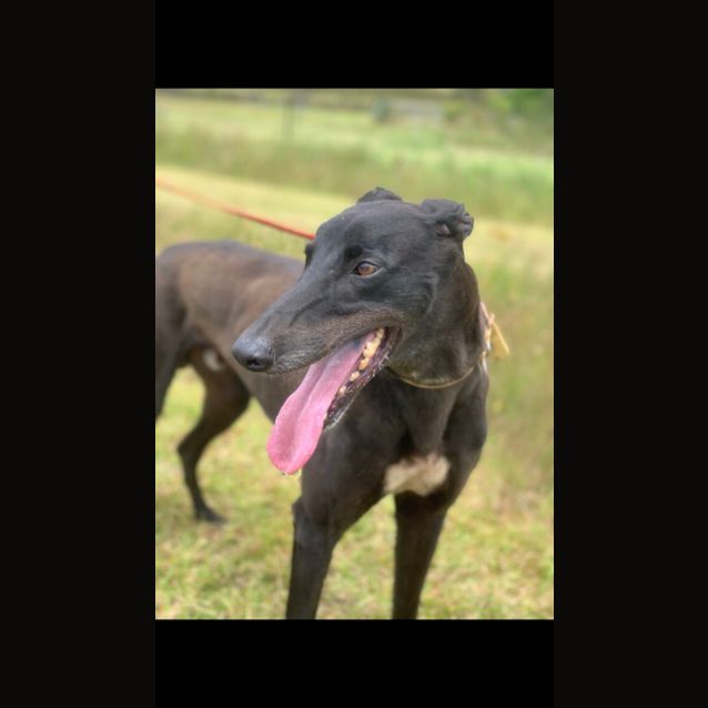Photo of Hamish ❤️