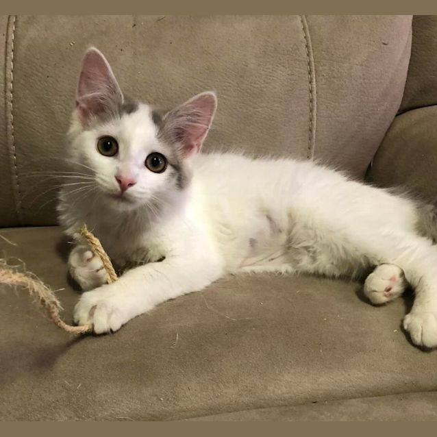 Photo of Betty White