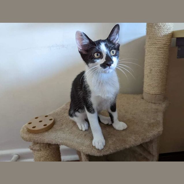 Photo of Mooey