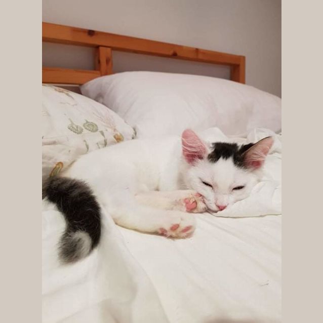 Photo of Birdie And Laddie ❣❣