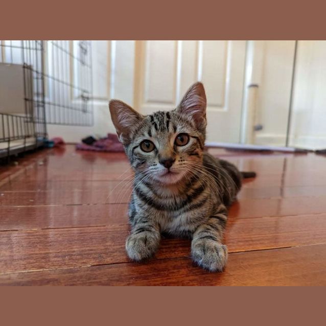 Photo of Gigi