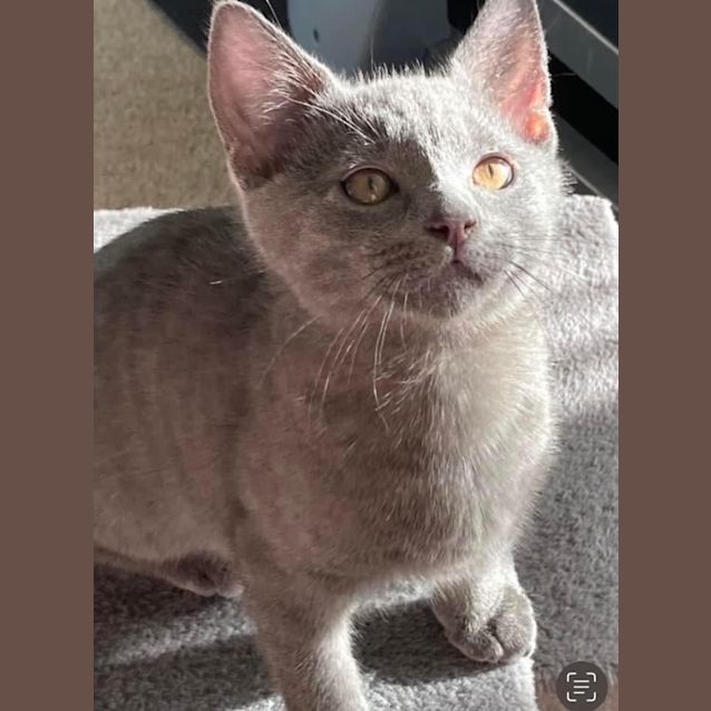 Photo of Skippy