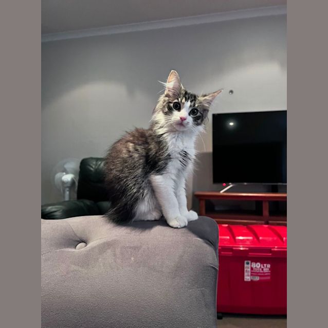 Photo of Monty