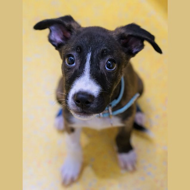 Photo of Gus