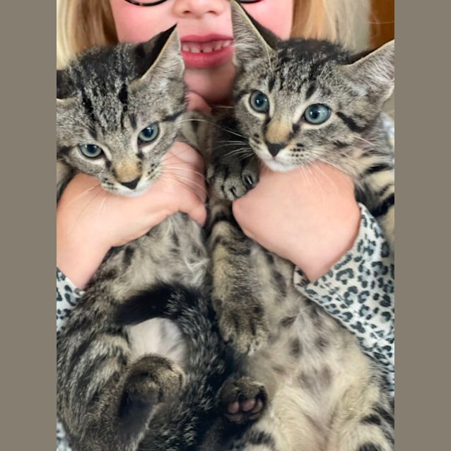 Photo of Pippin And Mj 