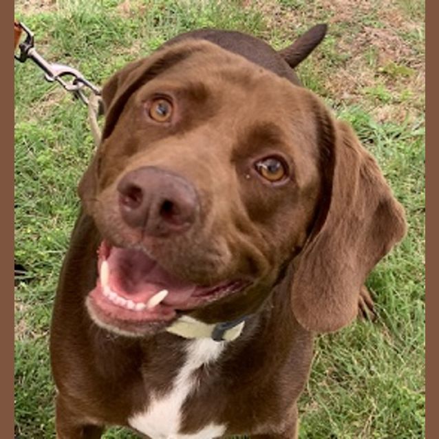 Photo of Bucky