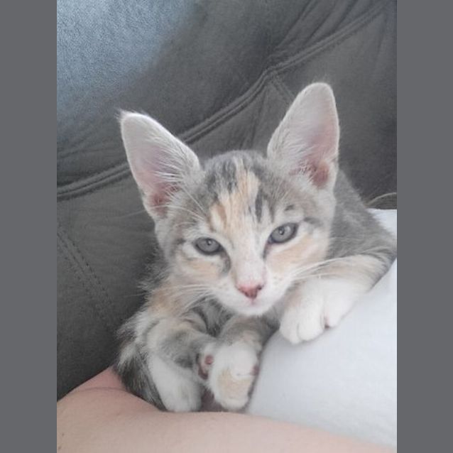 Photo of Samantha