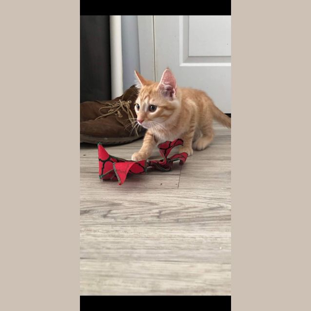 Photo of Sandy