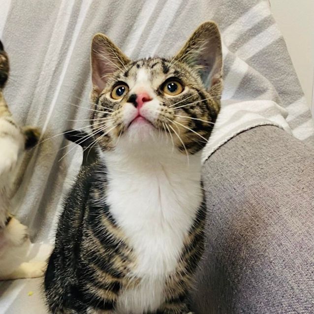 Photo of Noel   Located In Mernda