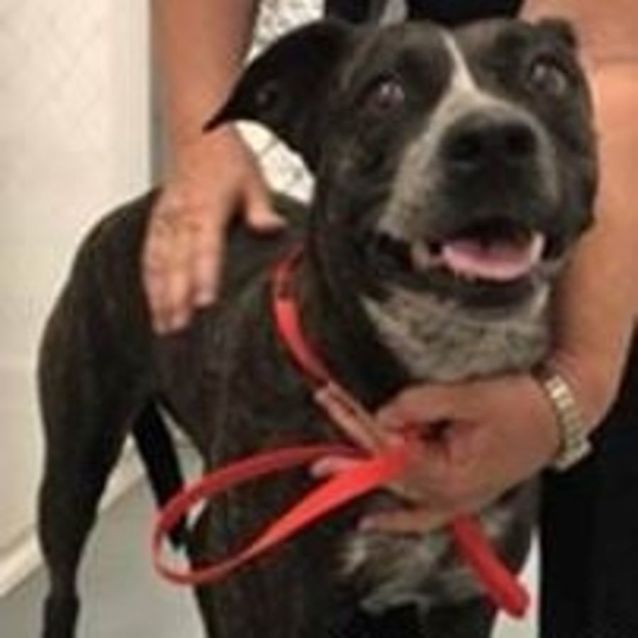 Photo of Storm Dl2783