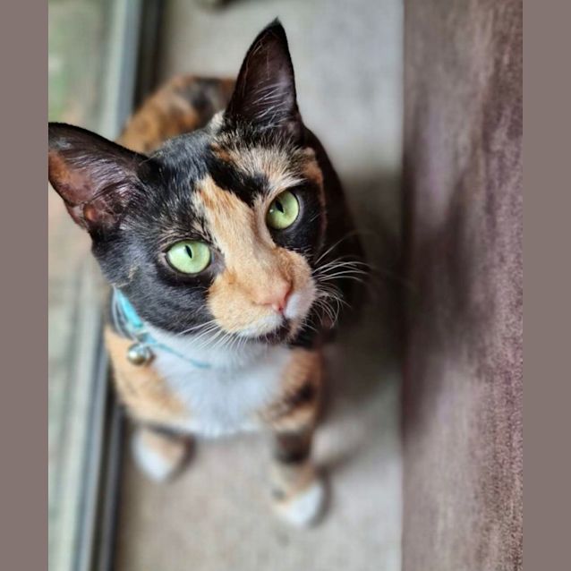 Photo of Heidi