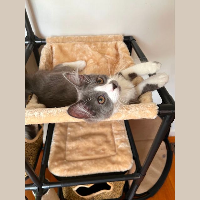 Photo of Onyx & Slate