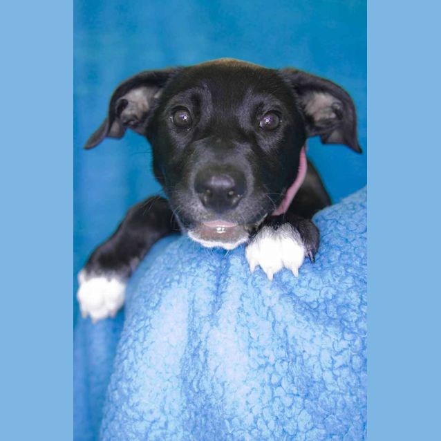 Photo of Missy