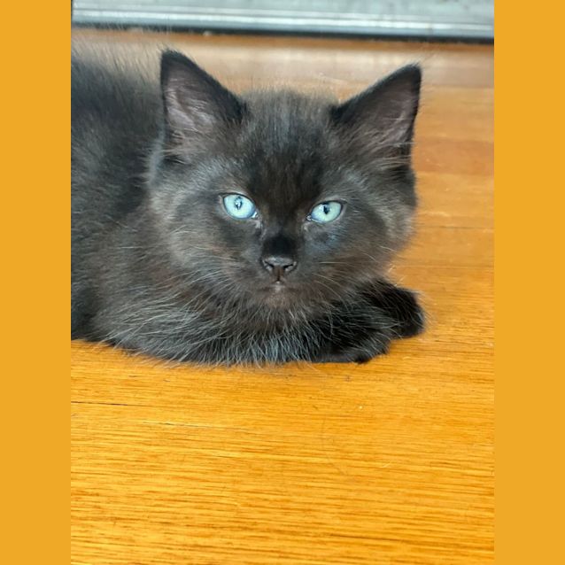 Photo of Nora