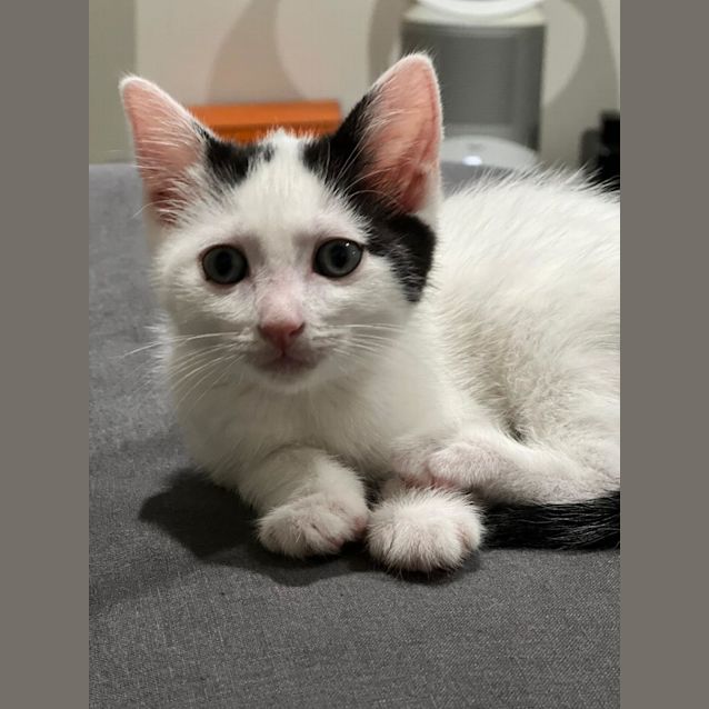 Photo of Slim