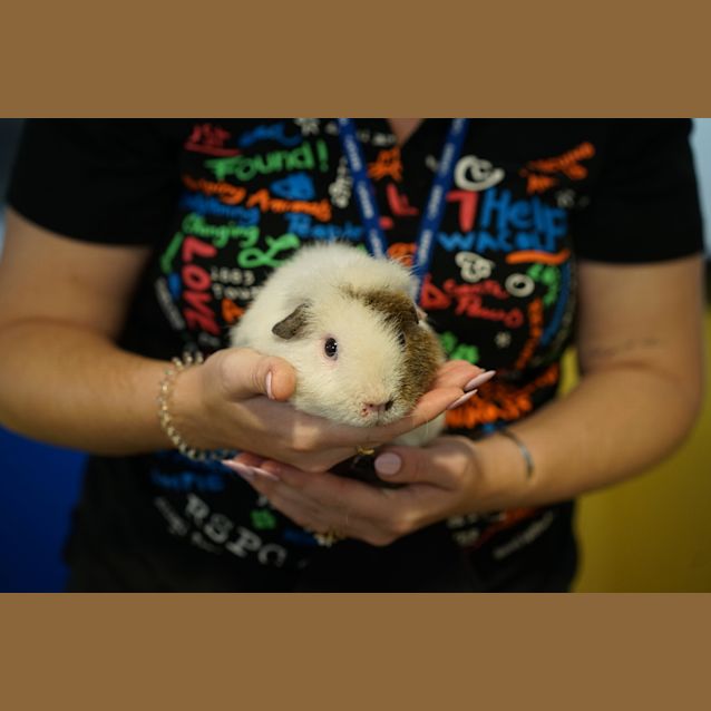 Photo of Bently