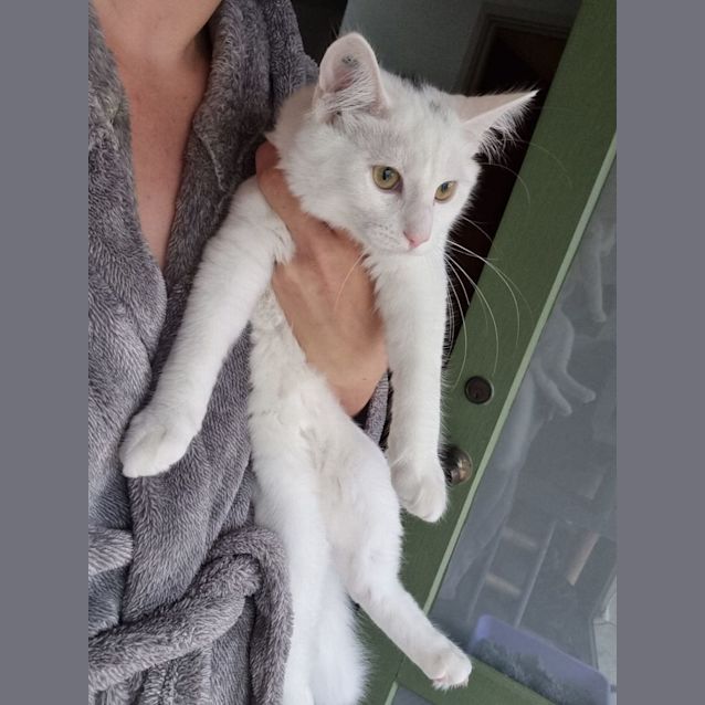 Photo of Rogue
