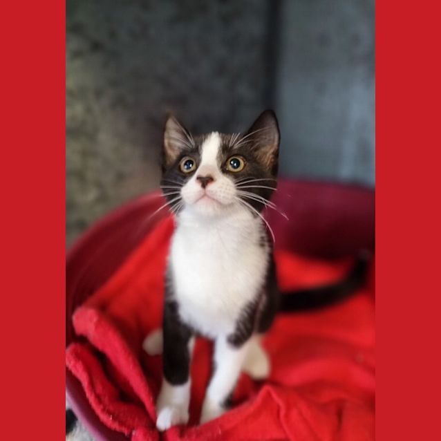 Photo of Bindie