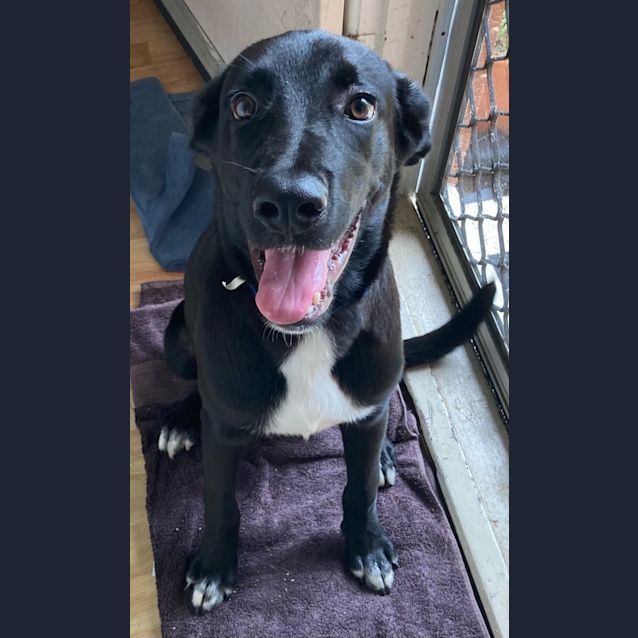 Photo of Jax