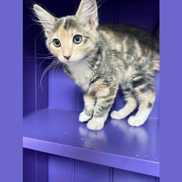 Photo of Skyla ( Was Stacey)