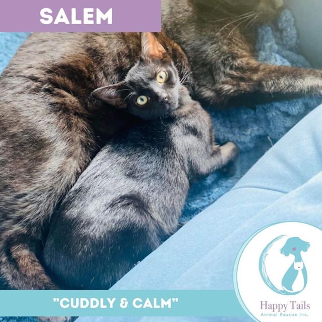 Photo of Salem