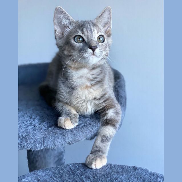 Photo of Snuggle Pot 