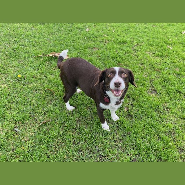 Photo of Libby