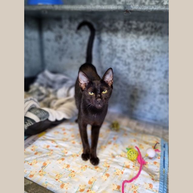 Photo of Salem