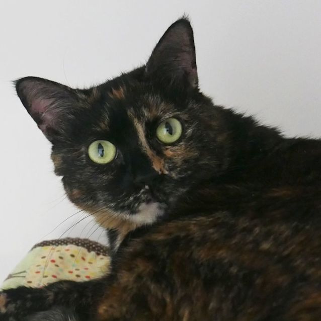 Photo of Frances Sua009447