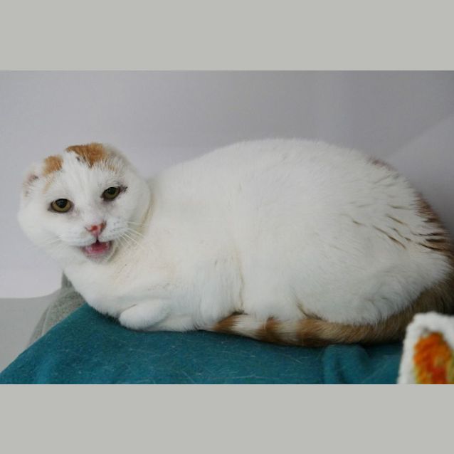 Photo of Lola Sua009270