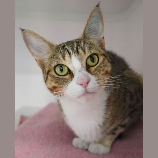 Photo of Savannah Sta009499