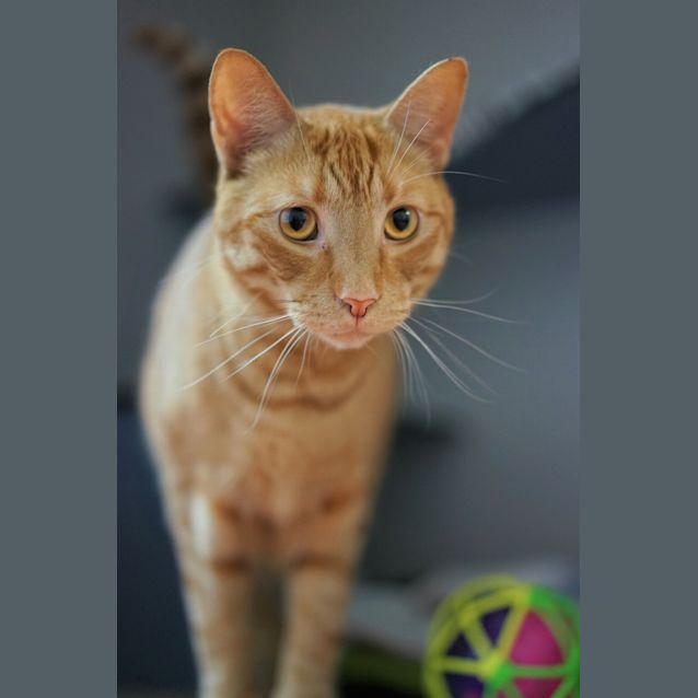 Photo of Titan