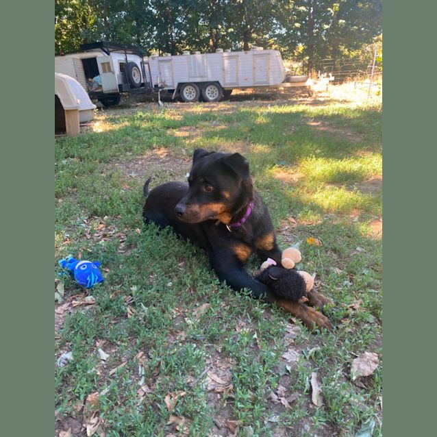 Photo of Zari