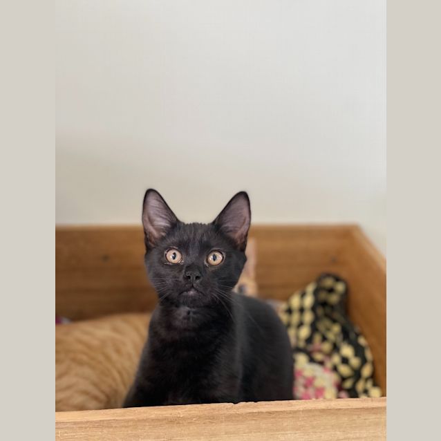 Photo of Lucy