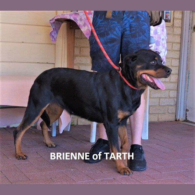 Photo of Brienne Of Tarth