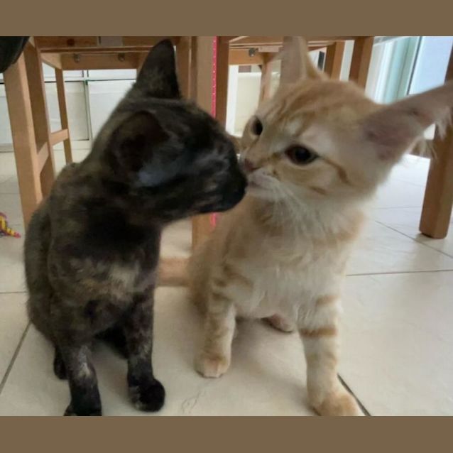 Photo of Melly & Vera 