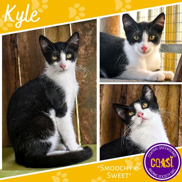 Photo of Kyle