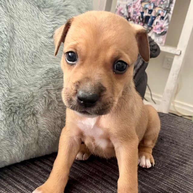 Photo of Finn