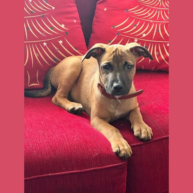 Photo of Jean Luc 🥰