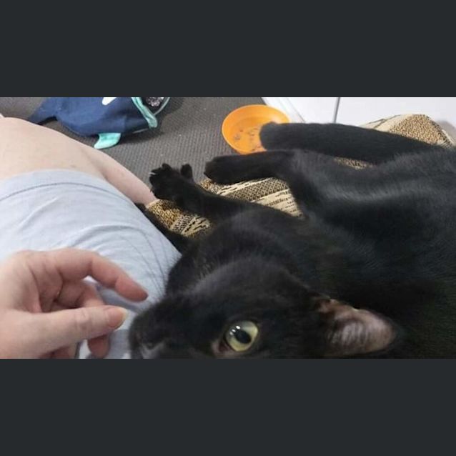 Photo of Oliver