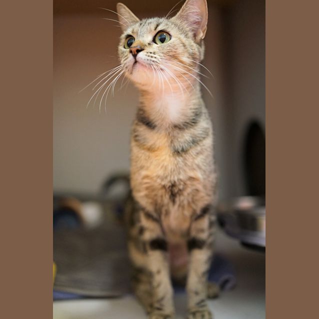 Photo of Wilma
