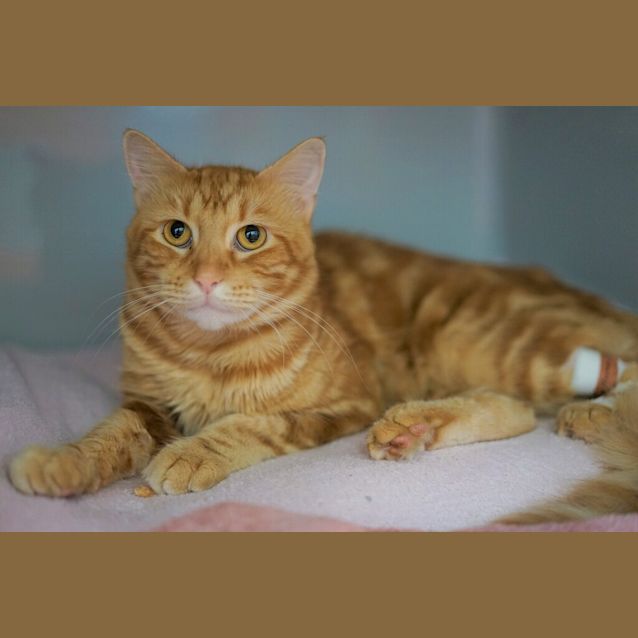 Photo of Jeffrey