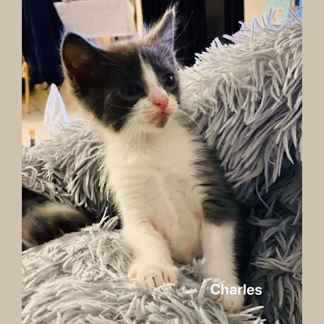 Photo of Charles