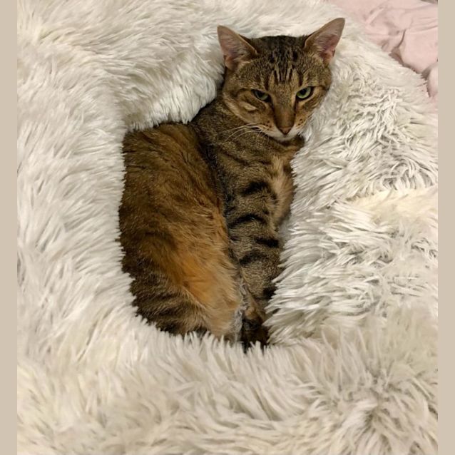 Photo of Billy 
