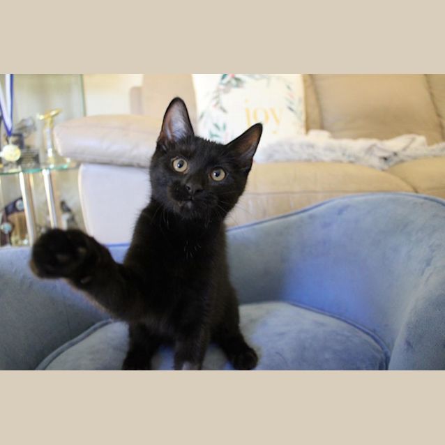 Photo of Figgy & Ziggy